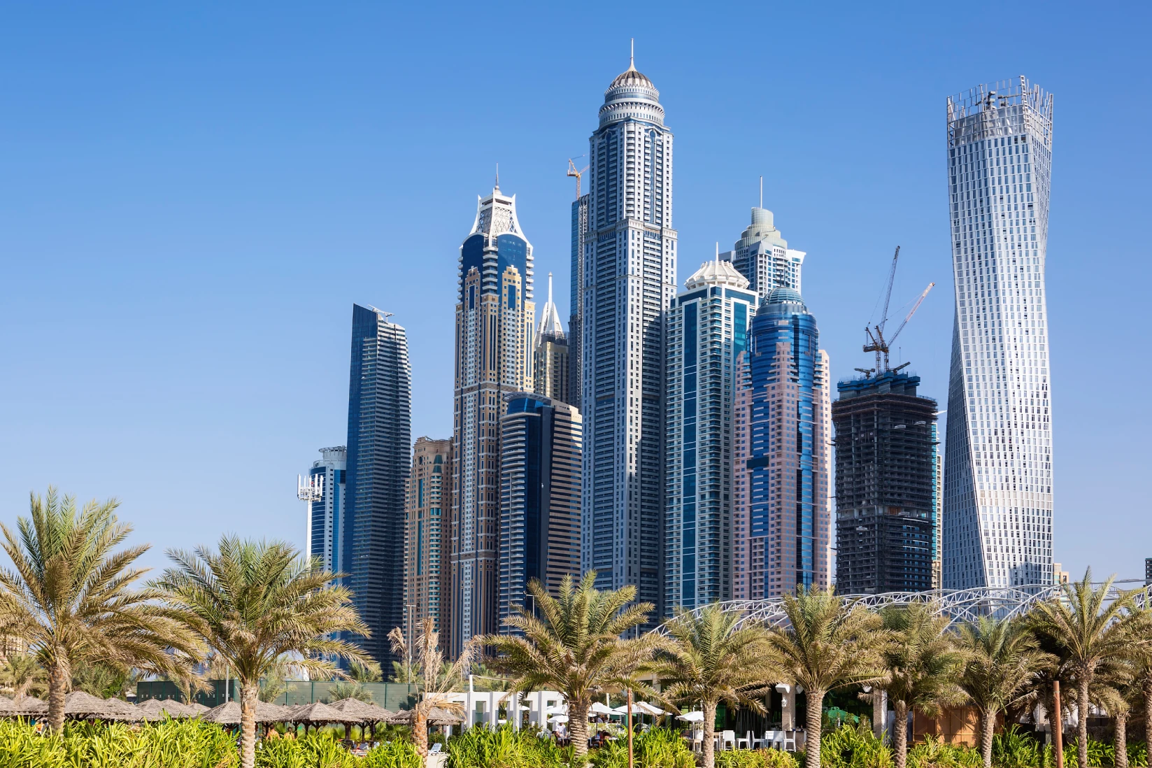 skyscrapers palm trees dubai uae