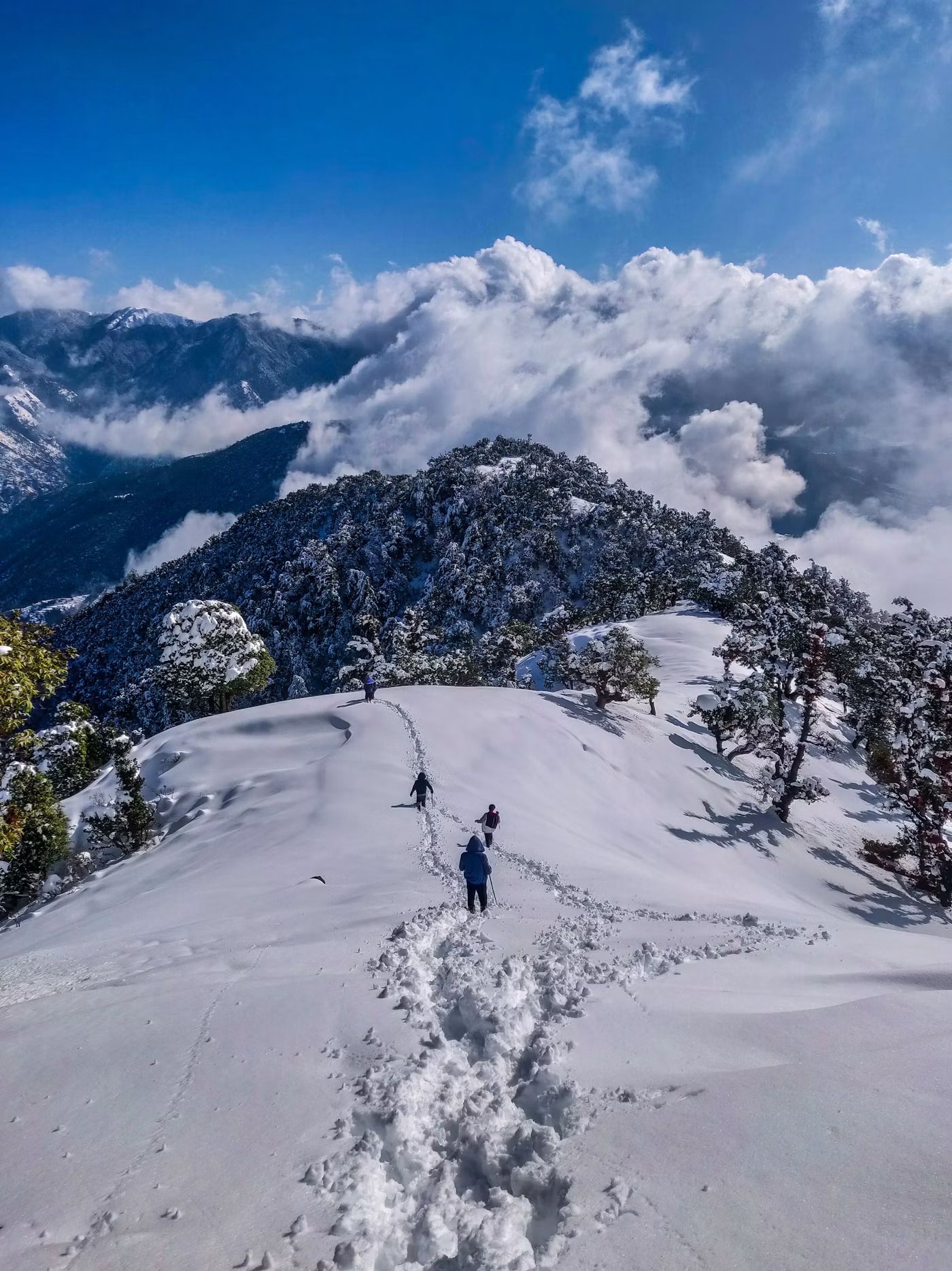 photo 1626621341517 bbf3d9990a23 (1)